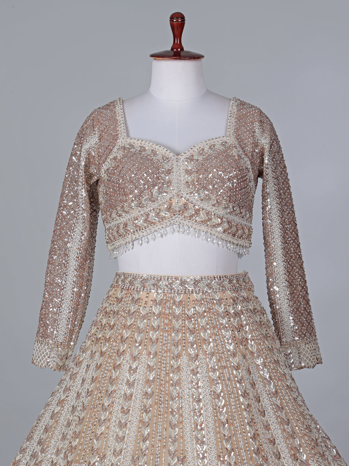Beige net embroidered designer lehenga choli with dupatta