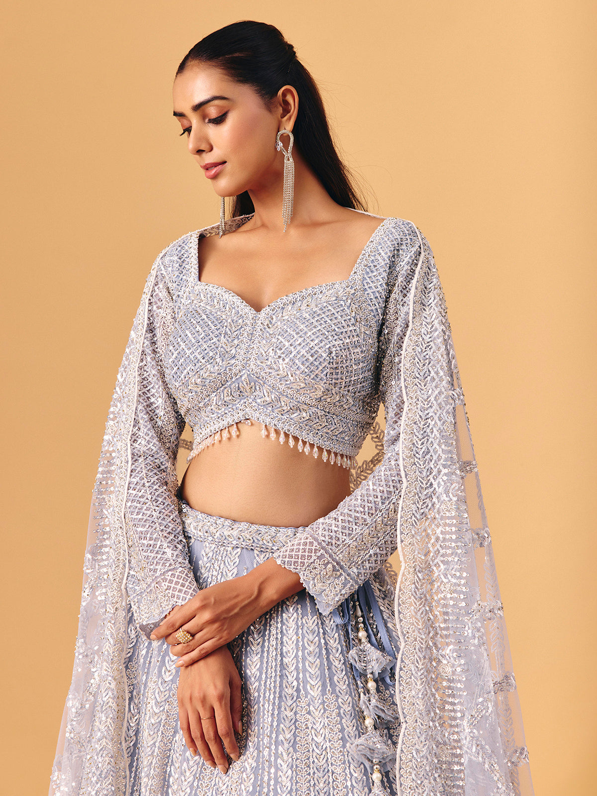 Powder blue net lehenga choli with shimmering embellished elegance