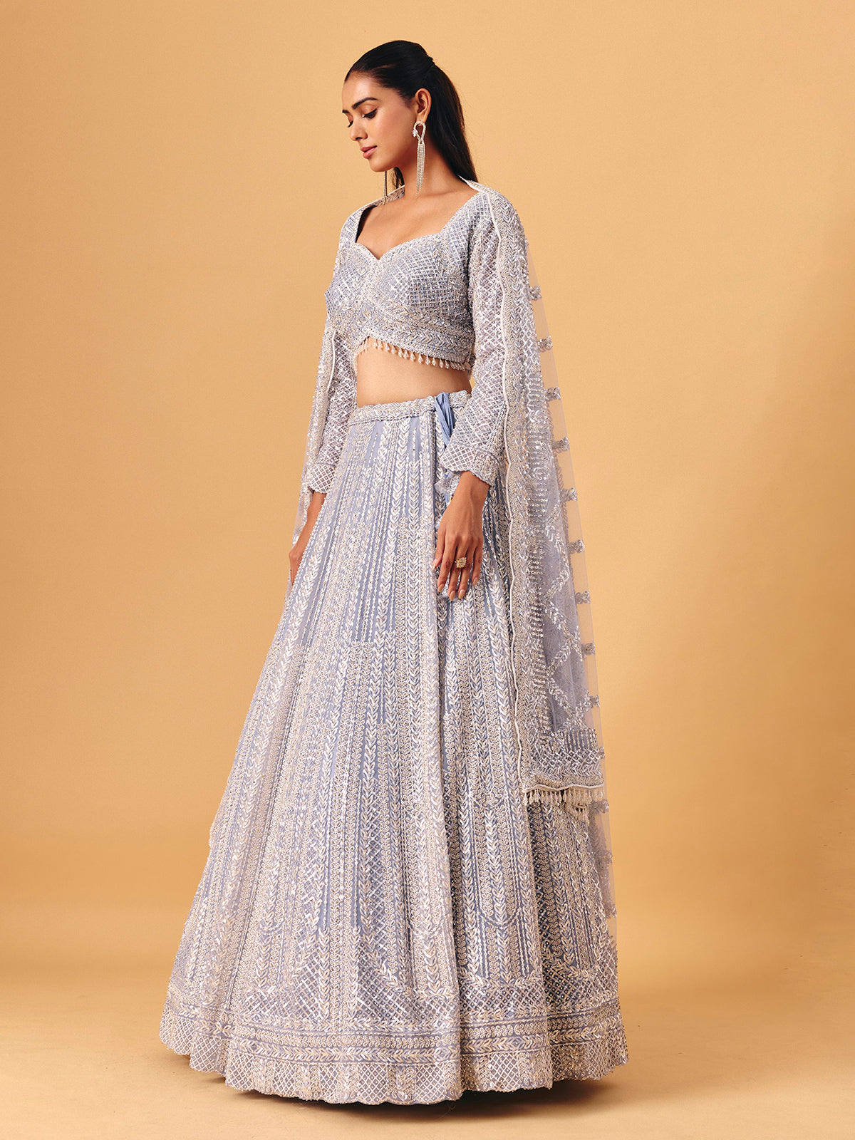 Powder blue net lehenga choli with shimmering embellished elegance