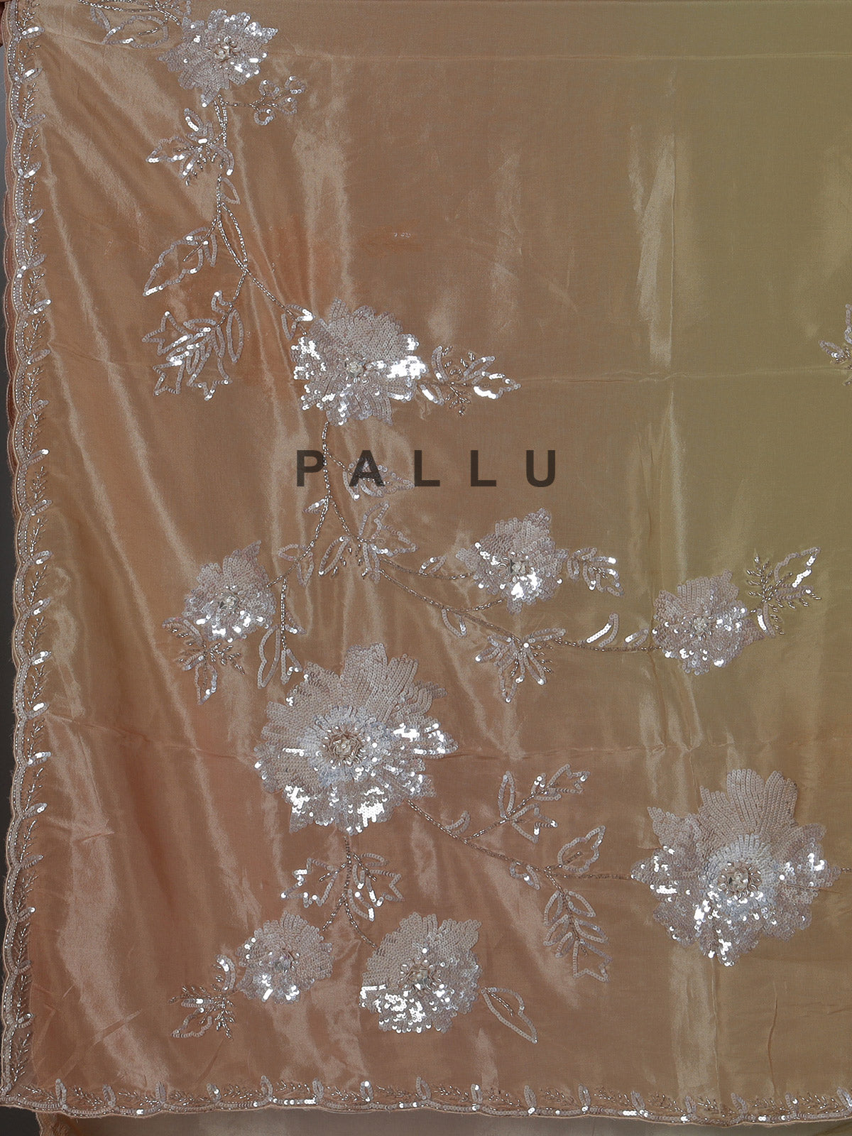 Pastel multi color tissue silk shaded saree with graceful festive charm
