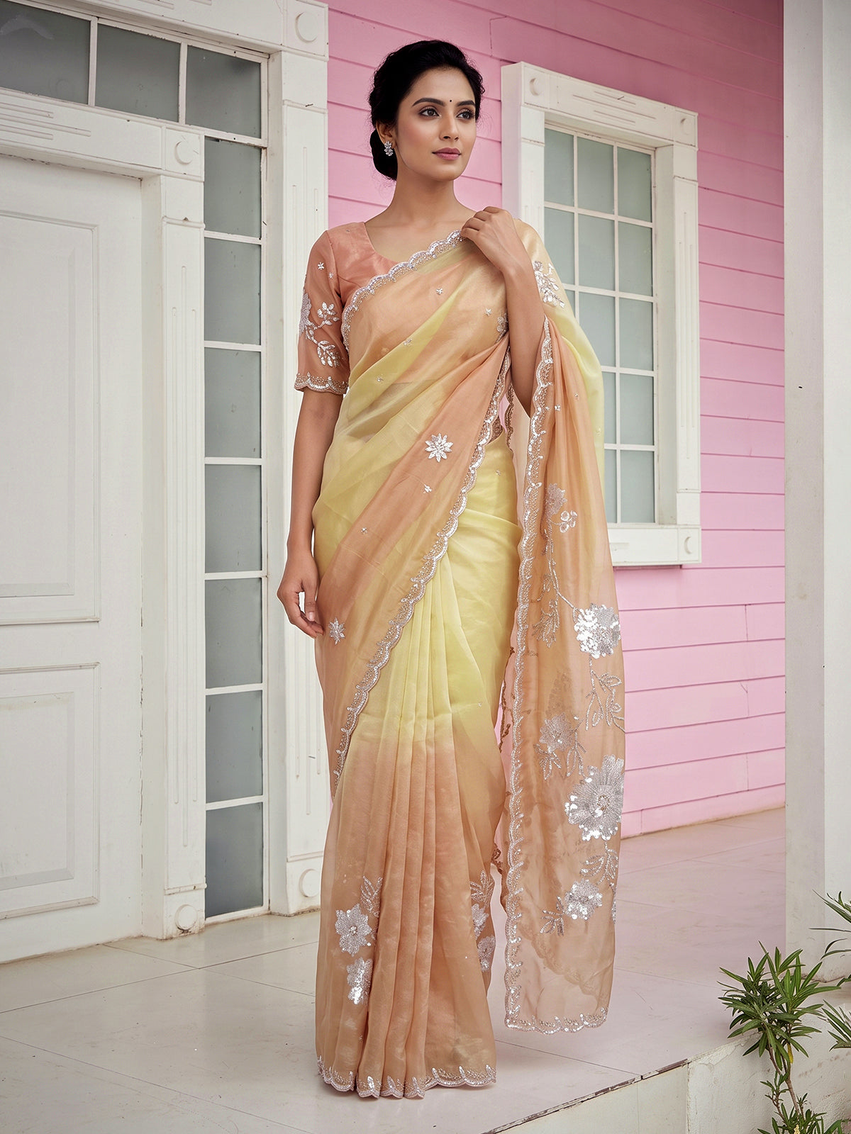 Pastel multi color tissue silk shaded saree with graceful festive charm