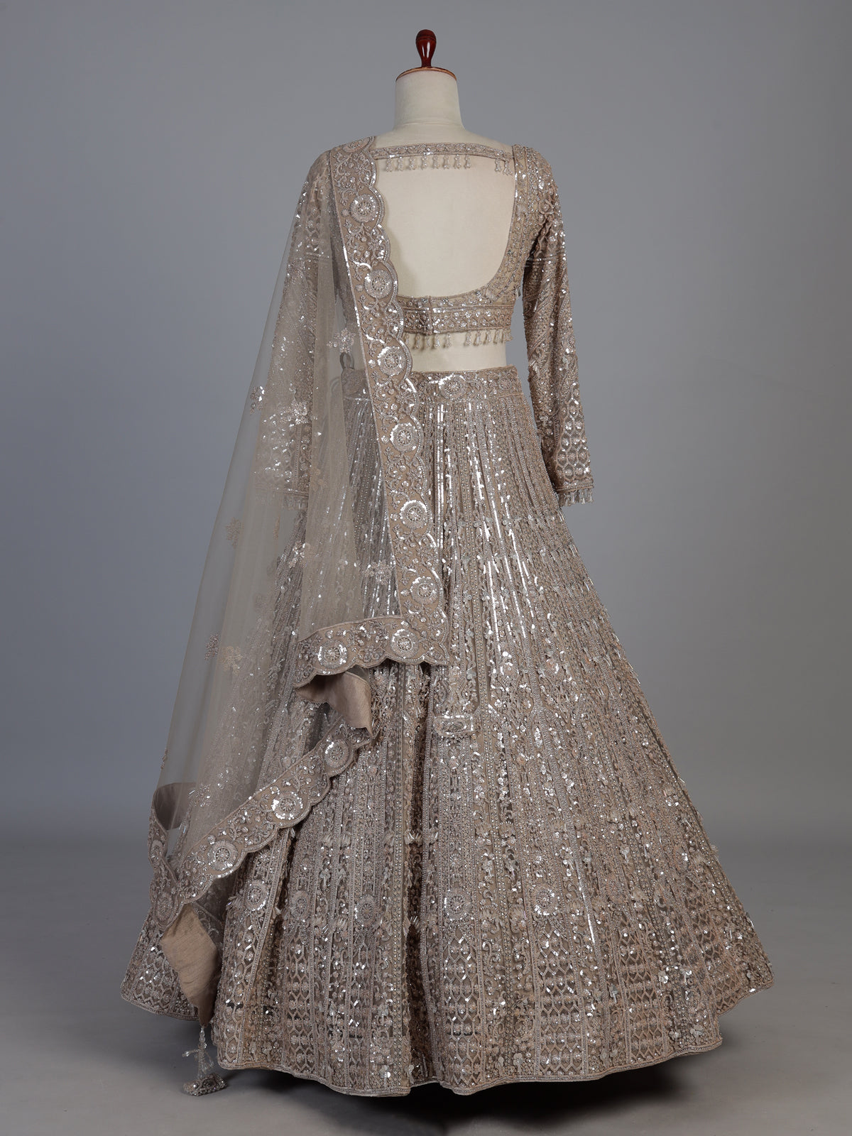 Beige net designer lehenga choli with diamond work embellishments