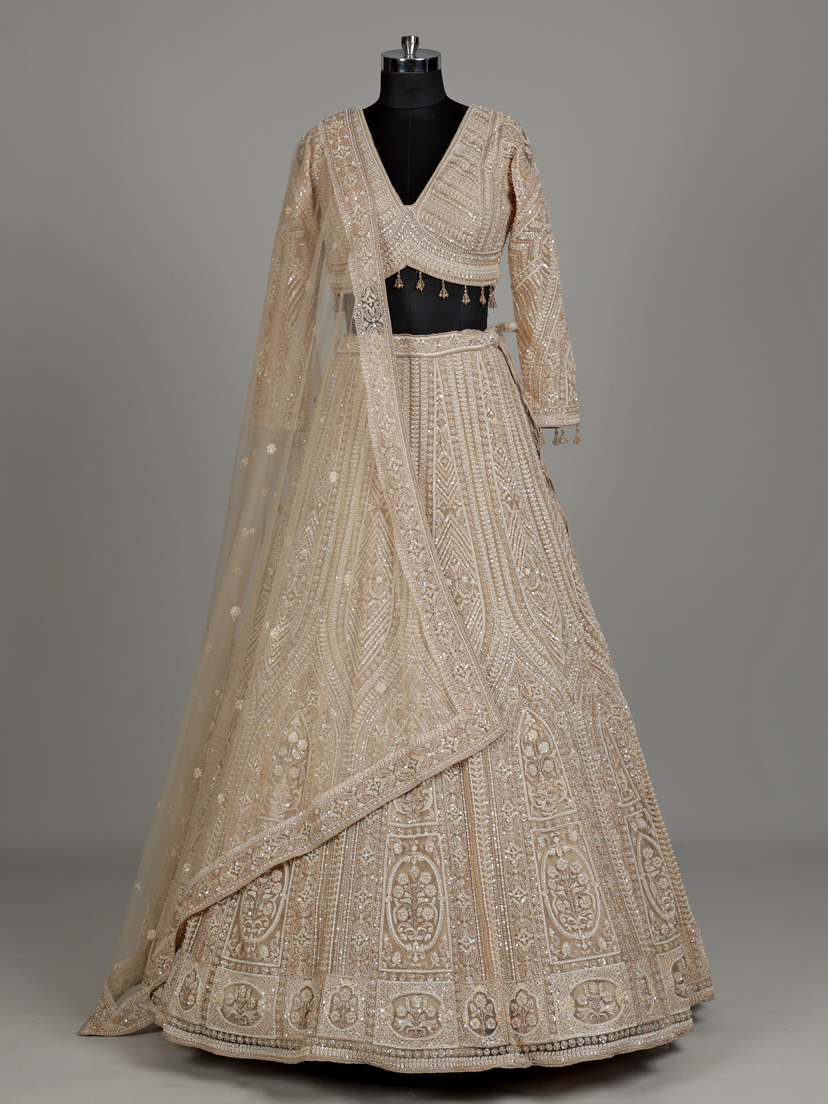 Beige net designer lehenga choli with embellished dupatta