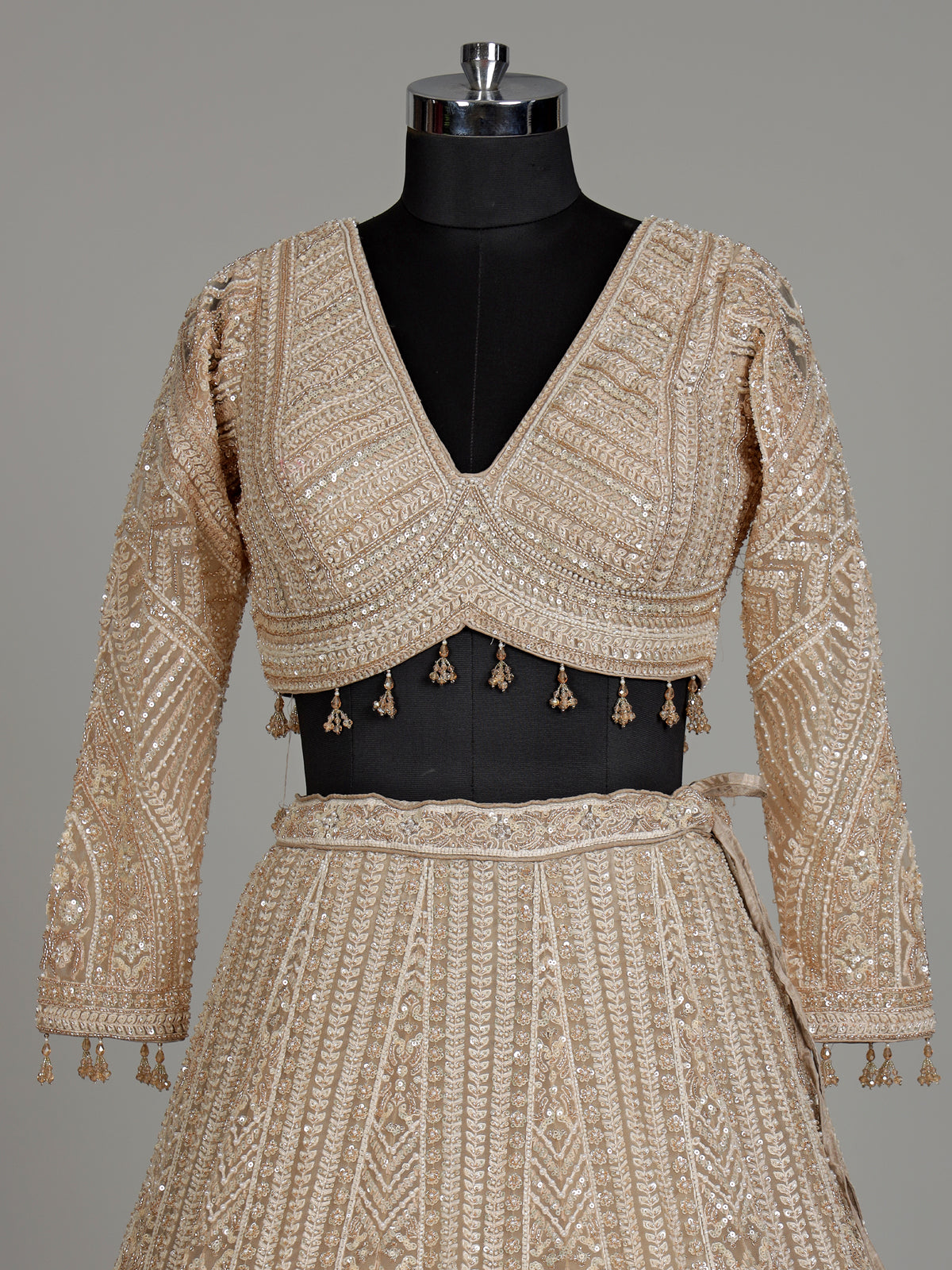 Beige net designer lehenga choli with embellished dupatta