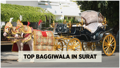 List of Top Baggiwala in Surat