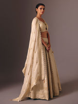 Gold banarasi tissue silk lehenga choli with mirror detailing