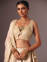 Gold banarasi tissue silk lehenga choli with mirror detailing