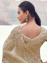 Beige tissue silk embellished saree