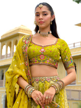Light green silk lehenga choli with zari work