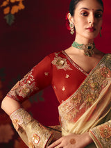 Cream tissue organza embroidered work saree