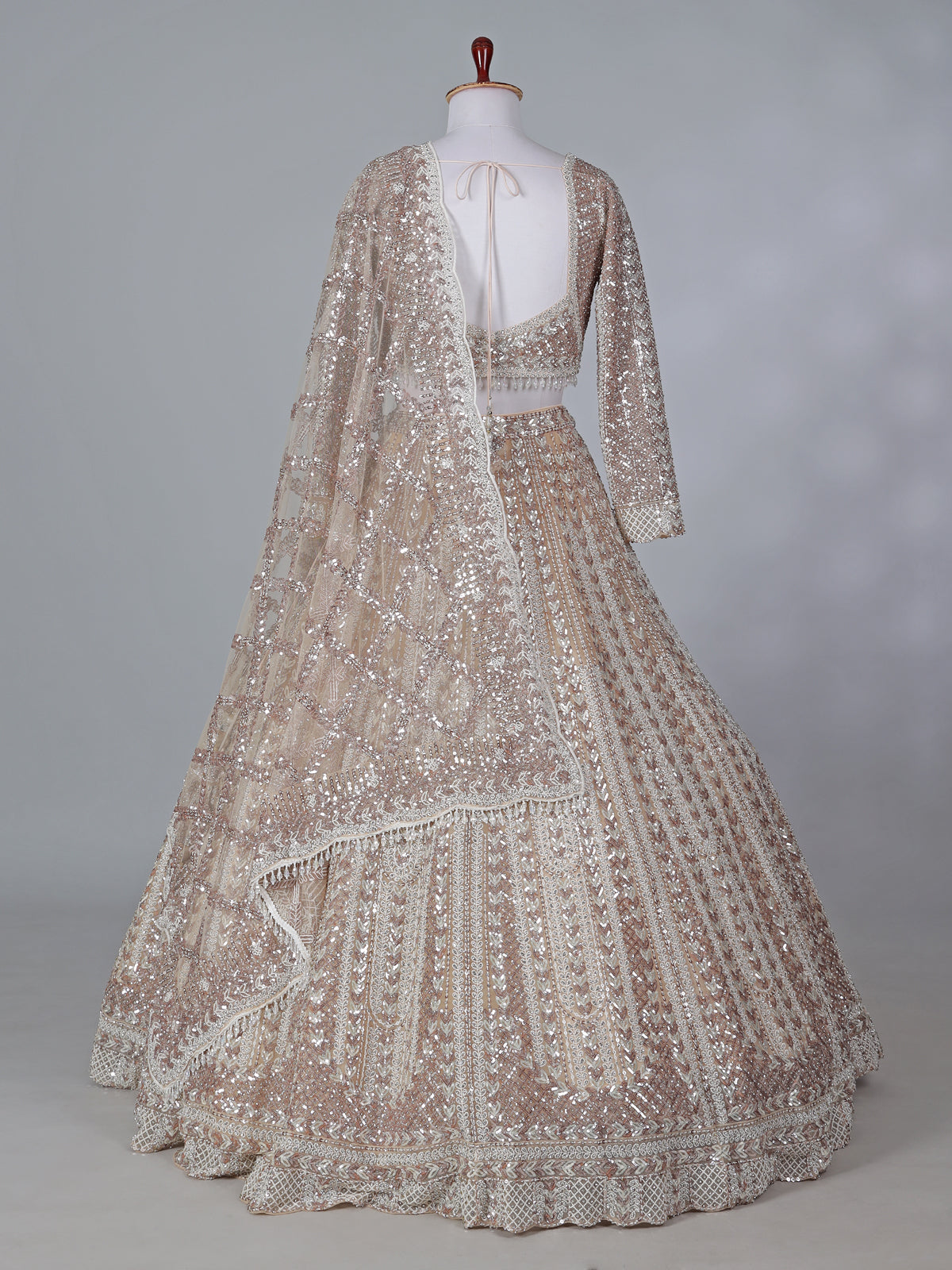 Beige net embroidered designer lehenga choli with dupatta