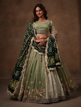 Pista green tissue silk lehenga choli for women