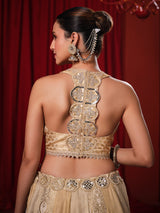 Gold silk mirror work lehenga choli