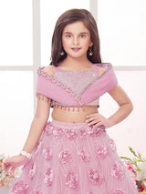 Pink net designer patch work embellished lehenga choli