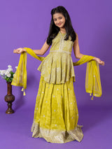 Green silk lehenga choli with mirror and stone detailing