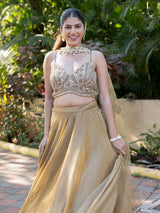 Beige organza designer lehenga choli with aabla and pearl work