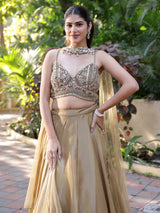 Beige organza designer lehenga choli with aabla and pearl work