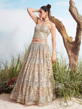 Beige georgette lehenga choli with aabla detailing for women