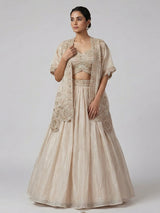 Beige reception wear lehenga choli in tissue silk
