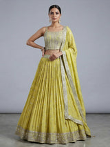 Lime green silk lehenga choli with mirror work