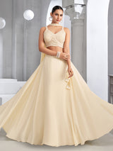 Beige reception wear crepe silk lehenga choli with choker dupatta