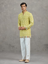 Pista green short silk embroidered festive kurta suit