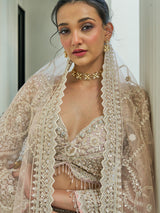 Beige net embroidered bridal lehenga choli for engangement