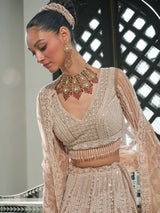 Champagne gold net designer lehenga choli with cutdana detail