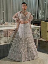 Beige net embellished lehenga choli with cutdana and sequins