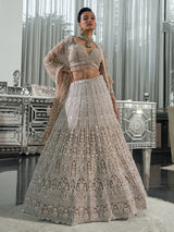 Beige net embellished lehenga choli with cutdana and sequins