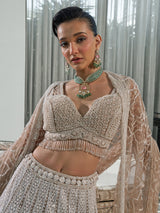 Beige net embellished lehenga choli with cutdana and sequins