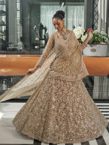 Dark beige net bridal lehenga choli for reception