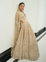 Beige net heavy embroidered lehenga choli with diamond and cutdana