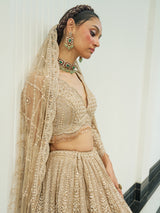 Beige net heavy embroidered lehenga choli with diamond and cutdana