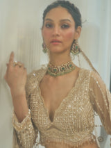 Beige net heavy embroidered lehenga choli with diamond and cutdana