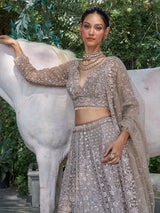 Grey net lehenga choli with sequin, cutdana and floral motifs