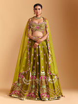 Mehendi olive raw silk lehenga choli with mirror detailing