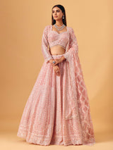 Light pink net lehenga choli with diamond shimmer detailing