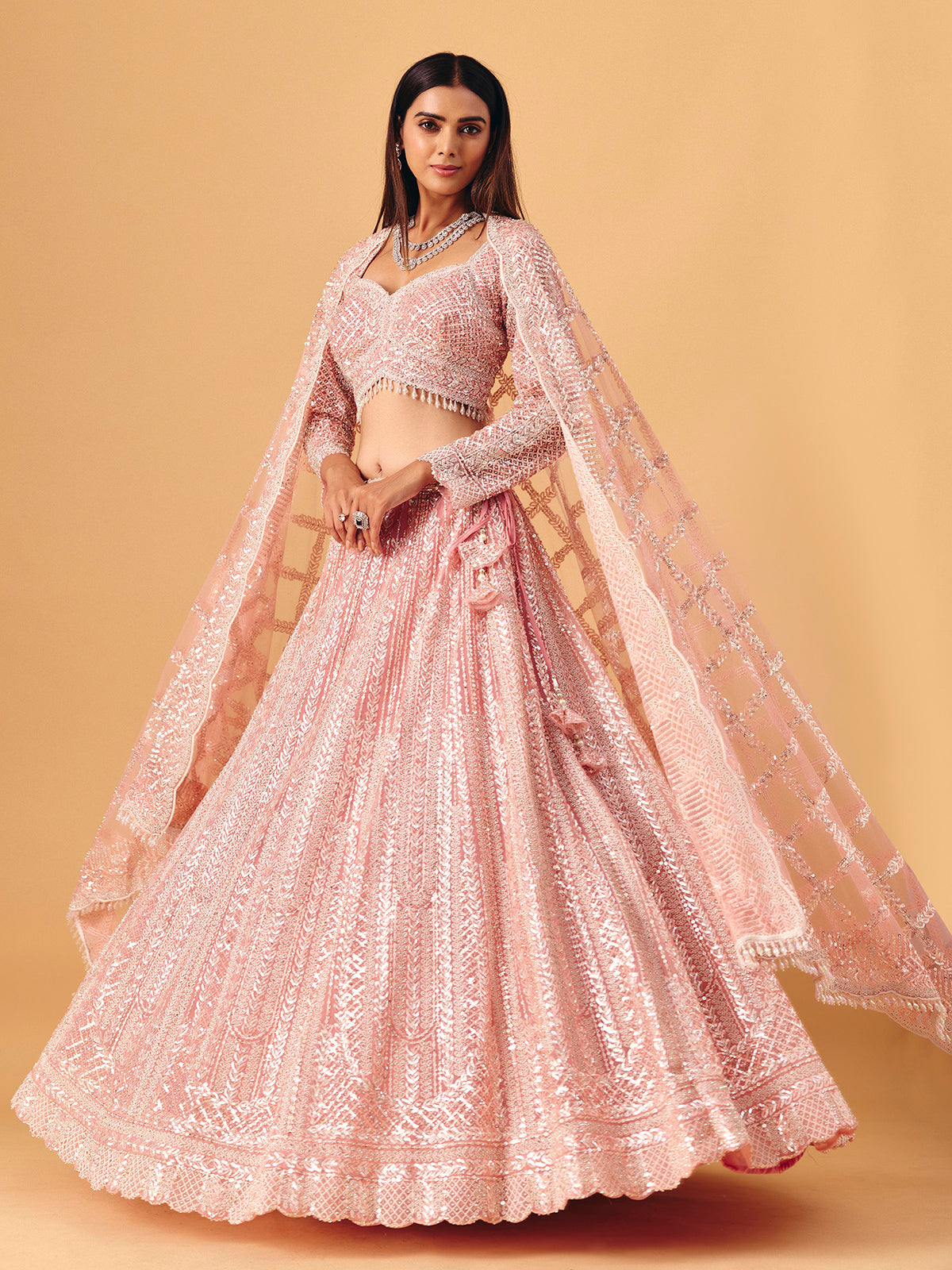 Light pink net lehenga choli with diamond shimmer detailing