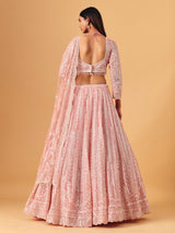 Light pink net lehenga choli with diamond shimmer detailing