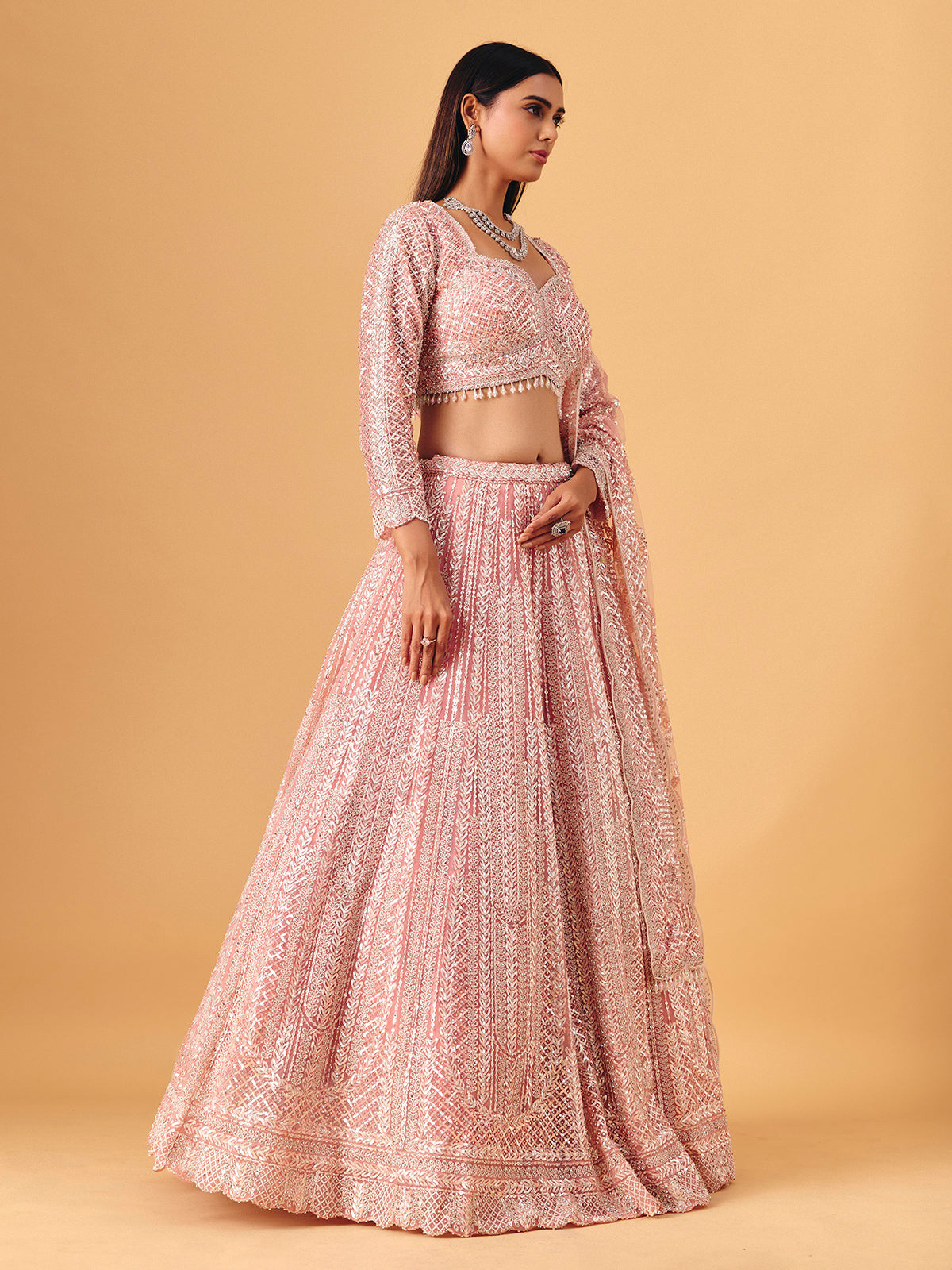 Light pink net lehenga choli with diamond shimmer detailing