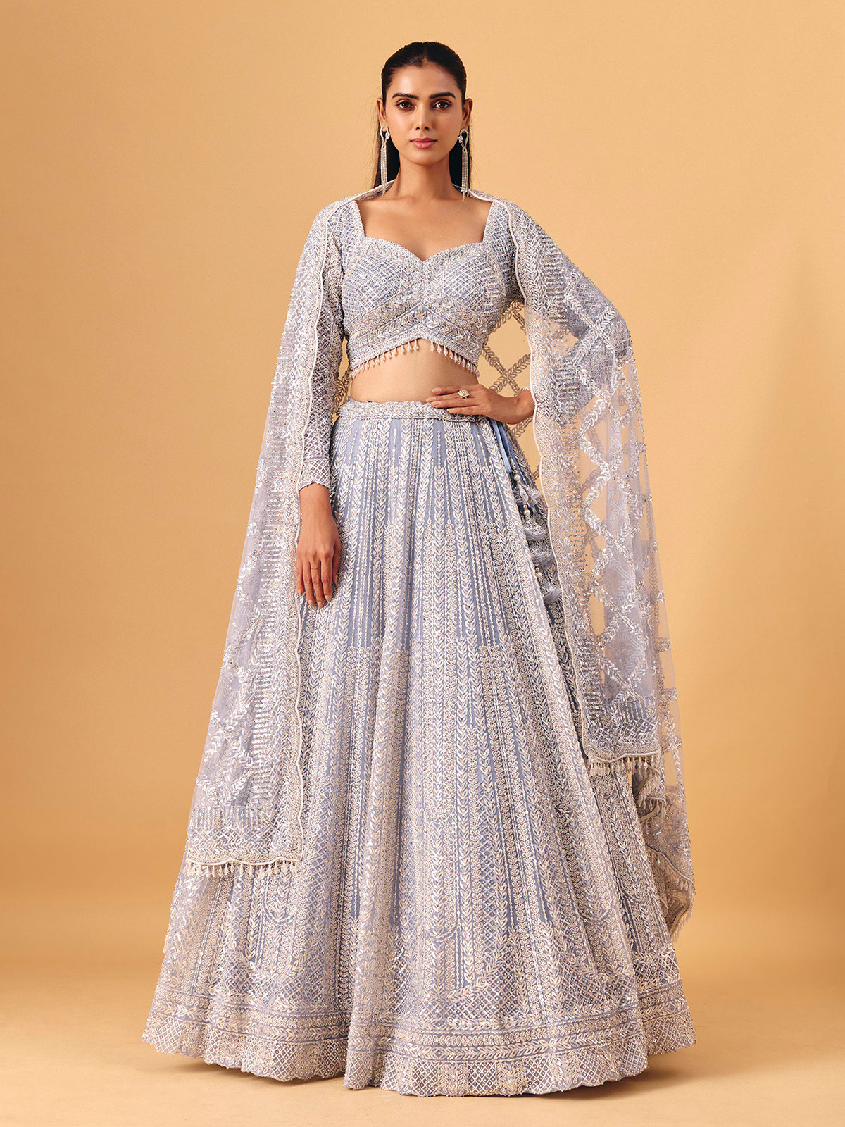 Powder blue net lehenga choli with shimmering embellished elegance