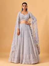 Powder blue net lehenga choli with shimmering embellished elegance