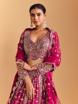 Deep rani pink raw silk lehenga choli with mirror embellishments