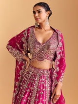 Deep rani pink raw silk lehenga choli with mirror embellishments