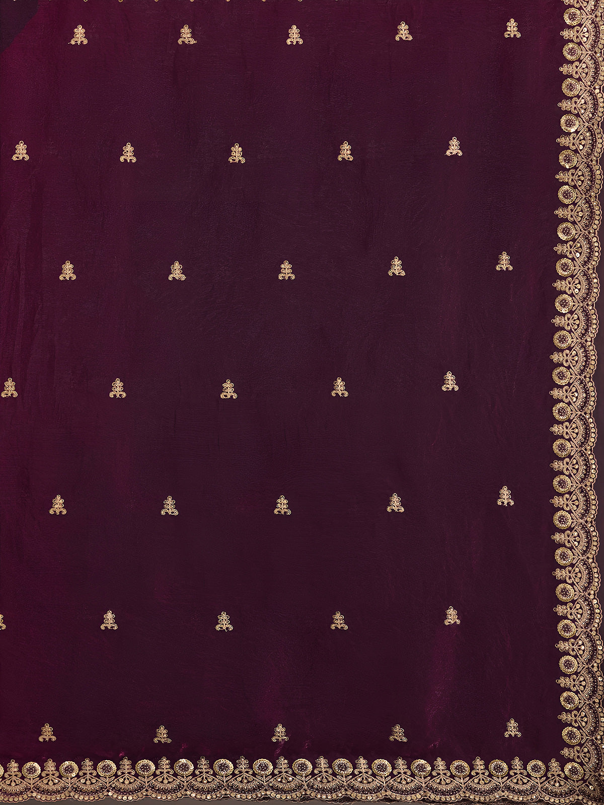 Wine party wear tissue saree with embellished border
