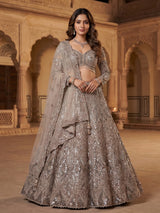 Mocha brown net designer lehenga choli