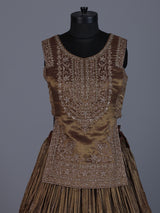 Bronze brown regal silk lehenga choli