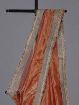 Orange resham embellished celebration wear saree