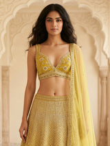 Mustard yellow embroidered velvet lehenga choli